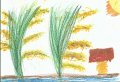 三甲-12劉依真.jpg